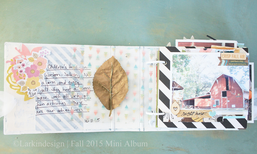 Fall Mini Album Front Page Transparency