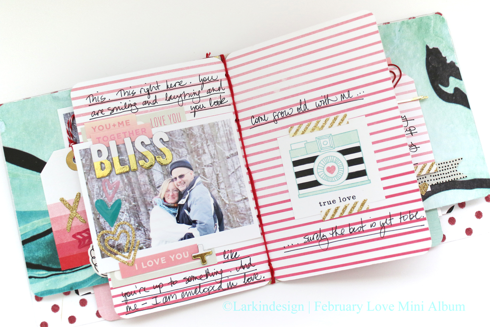 February Love Mini Album