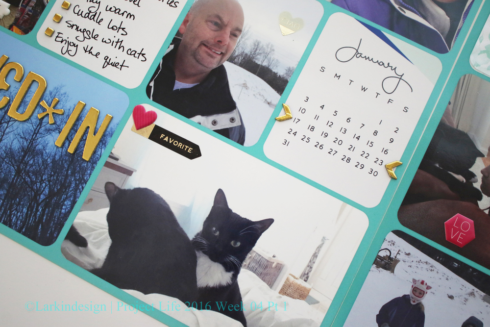 Project Life 2016 Week 4