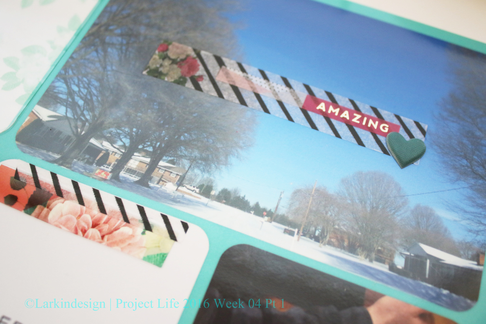 Project Life 2016 Week 4