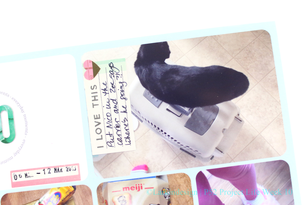 Project Life 2016 Week 10