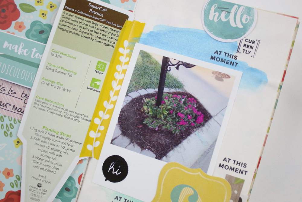 Traveler%27s Notebook Gardener%27s Notebook Entry 01