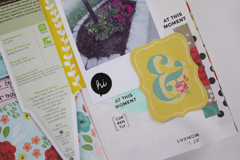 Traveler%27s Notebook Gardener%27s Notebook Entry 01