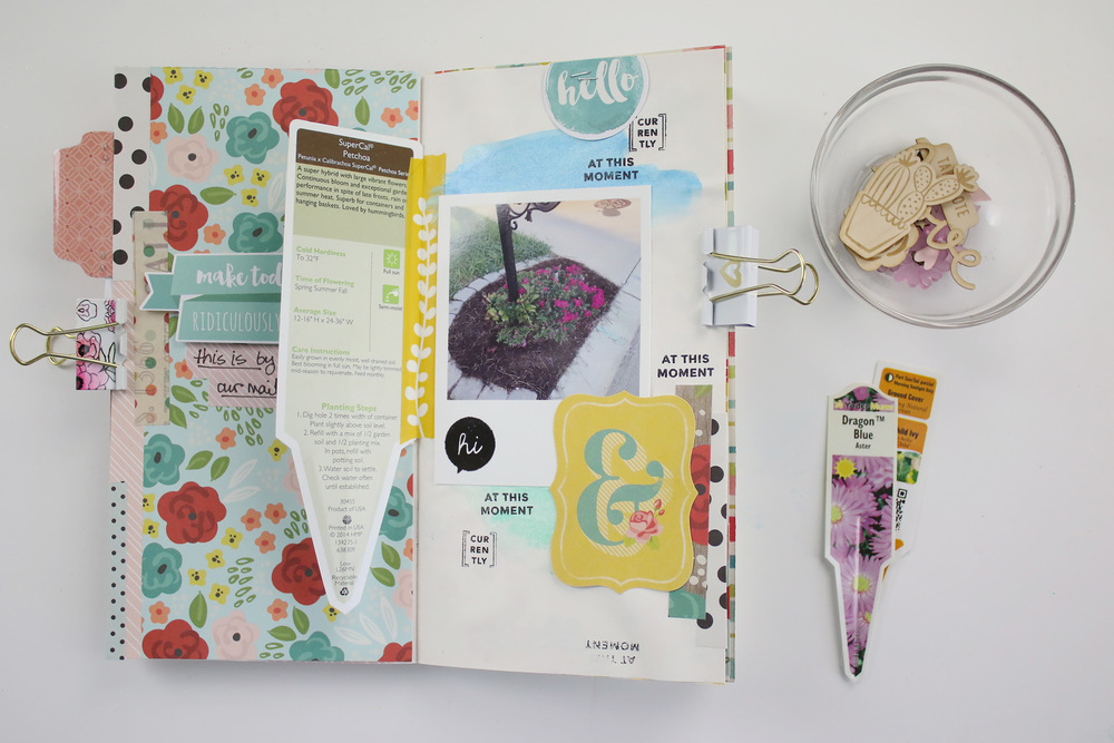 Traveler%27s Notebook Gardener%27s Notebook Entry 02