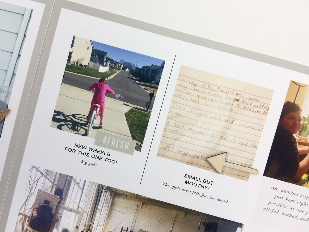 Larkindesign Project Life 2017 Week 08 | A Hybrid Scrapbook Layout